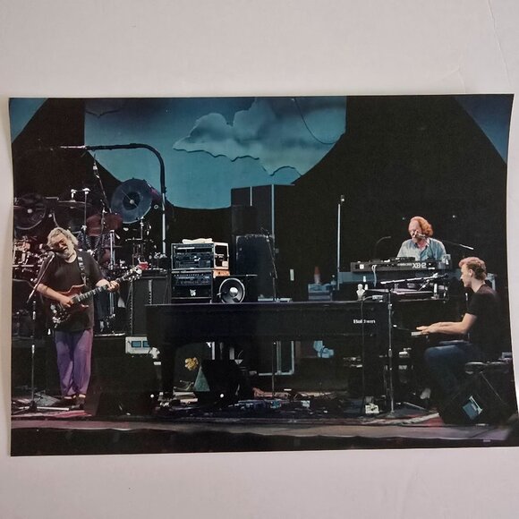 Grateful Dead Concert Photograph Licensed Rob Cohn Dead Images 8"x10" Band Perfo - Picture 8 of 14